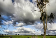 德国球员在欧预赛中取得胜利