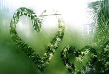 山东鲁能客场战平，积分稳定在中下游位置——沉稳应对与未来可期