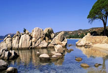 土耳其客场负于挪威，遭受失利：反思与重整的契机